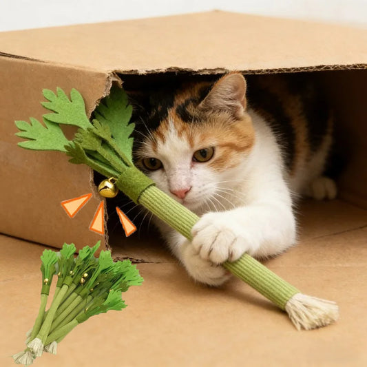 Interactive Self Playing Catnip Molar Stick Toys